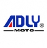 Accu's voor Adly 