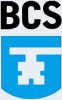 Accu's voor BCS 
