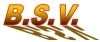 Accu's voor BSV 