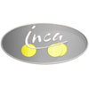 Accu's voor Inca 